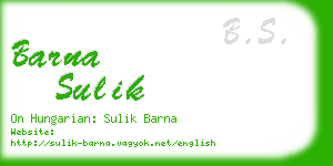 barna sulik business card